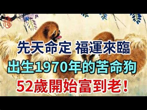 1970生肖配對|【1970生肖配對】1970生肖配對：屬狗女的絕配與忌諱